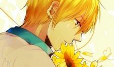 向日葵女孩动漫,追逐阳光的青春旋律